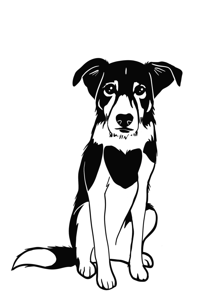 Koda